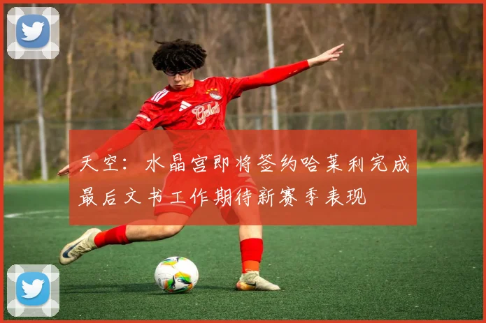 天空：水晶宫即将签约哈莱利完成最后文书工作期待新赛季表现